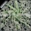 green bridal lace trim designer style for Ladies plied yarn knitting nylon cotton terylene and cotton lace
