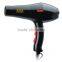 AC Motor New Style Hair Dryer Professional Hair Dryer ZF-8839
