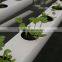 Effective Hydroponics / Soilles / NFT Channel / Growbag / Growing Culture for Hydroponic Greenhouses