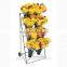 mobile flower display cart