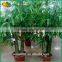 Home Decoration Artificia Bamboo Fake Bamboo Plastic Lucky Bamboo Decoration
