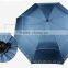 UV Two Layers Windproof Promotional Auto Open Golf Size Umbrella