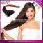 2016 New design Popular in USA/Europe Double Drawn Two Tone Triple Weft Clip In Hair Extension