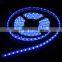 12V blue flexible strip IP65 waterproof light 300led 5m LED strip lighting