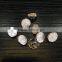 Shank plating shirt button for garments assessory