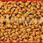 Pure Fenugreek (Methee)