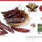 HACCP Certified Sweet Whole Paprika