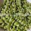 DPL-300 CE Qualified Bean Sheller Peeler Peeling Machine