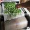 Microwave herbs drying oven with conveyor belt
