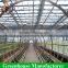 High Quality Polycarbonate Greenhouses for Tomatoes