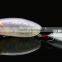new model Plastic Popper Lure bait fishing lure