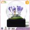 Factory Custom made best home decoration snow globe gift polyresin capri snow globe