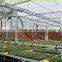 greenhouse