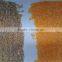 ZRWS grain color sorter machine/ ccd color sorter 1 t/h sorting machine price