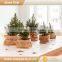 Brown washable paper planting bag,brown kraft paper bags
