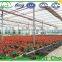 Double layer plastic film greenhouse