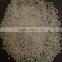 Polylactic Acid Resin /100% Biodegradable PLA Granule / PLA Plastic Raw Material