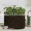 75 gallon smart pots hydro for flower system smart non woven plant bag (1 gal to 1200 gal)