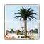 best selling products large outdoor artificial palm trees tropical plants life size artificial trees