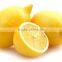 Fresh citrus fruits /Yellow Eureka Fresh Lemon