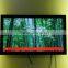42 inchWall Mounted Network Advertising LCD Video Player display