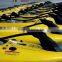 Power Ski Jetboard,Power Jet Surfboard 330C,2stroke