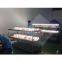 IP65 waterproof LED down light