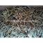SUN DRIED, UNBOILED ANCHOVY/SPRAT