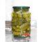 CANNED CUCUMBER