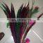 best quality 20-25cm pheasant feather