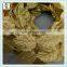 Toga Costume Greek Roman Laurel Wreath Gold Leaves Party Headbands HPC-0791