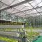 Multispan Glass Greenhouse for Large-Scale Hydroponic Planting