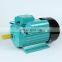 YL Series Single-phase two-value capacitor induction electric motor 50/60HZ