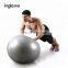 Wholesale and custom Eco-friendly Pvc Gymnastics Earth Gym Exercise Yoga Ball