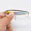 Free sample China OEM Factory  Sound Pencil fishing lure 8cm/12g  sinking 3D eyes Blood slot hook hard bait