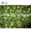 Sinocharm New Season Organic Delicious IQF Sliced Okra Frozen Okra