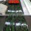 Pattern Painted Color Coated Steel Coil for corrugated steel sheet