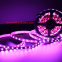 DC5V LC8813 60Leds Per Meter 5050 Addressable Full Color Digital Pixel RGB Led Pixel Strip