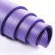 OEM Factory Wholesale price OEM Logo Fitness NBR Yoga Mat Exercise home mat