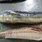 New Coming Frozen Whole Round Mahi-Mahi Fish