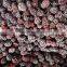 frozen fruits IQF frozen blackberries sweet blackberry