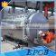 Fire Tube Structure Industrial WNS 6 Ton Boiler