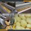 Leader new design potato washer slicer machine website:leaderservice005