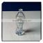 Body shaped glass perfume bottles with sprayer lidDH302