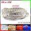 Double Line Multiple Color Ribbon Waterproof 2835 programmable led strip 50m ip65 Waterproof