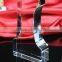 Fashion blank number 1 crystal trophy award for champion