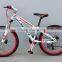 24 WOMEN MOUNTAIN BIKEDOUBLE DISC BRAKE MTB BIKE (M-24001)