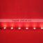 Cheap Factory Direct RGB LED Light