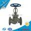 BD VALVULA Standard steel globe valve with casted steel wheel