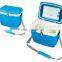 Hot selling compressor car cooler box with high quality GM101
